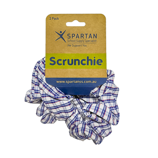Summer Scrunchie - 2 Pack