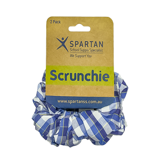 Summer Scrunchie - 2 Pack