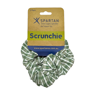 Summer Scrunchie - 2 Pack