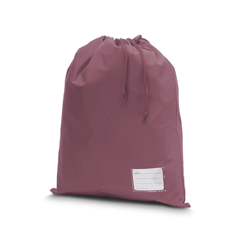 Library Bag