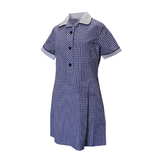 Princess Line Box Pleat Dress