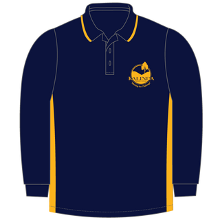 Long Sleeve Panel Polo