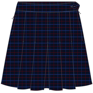 Winter Skirt Box Pleat